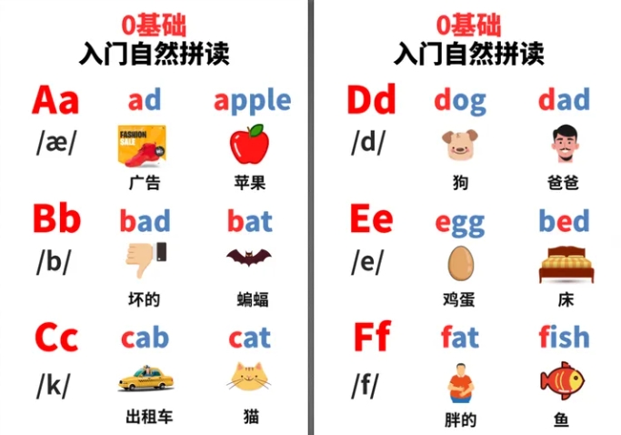 小紅書爆火的拼讀畫冊《每天60秒》，學完規則見詞能讀！